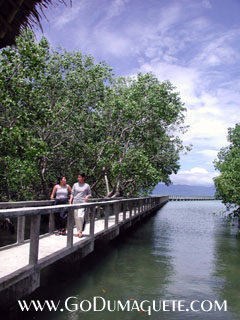 Talabing Mangrove Park Boardwalk