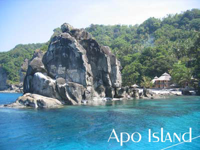 Rock formations floating on clear blue waters on Apo Island