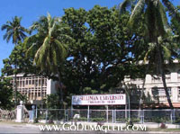 Sumaguete City Skyline